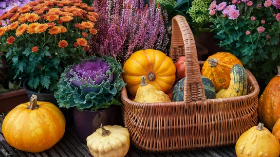 Kui saak salves, on eriti algajal hobiaednikul arukas hinnata, mis läks aias hästi, mis valesti.